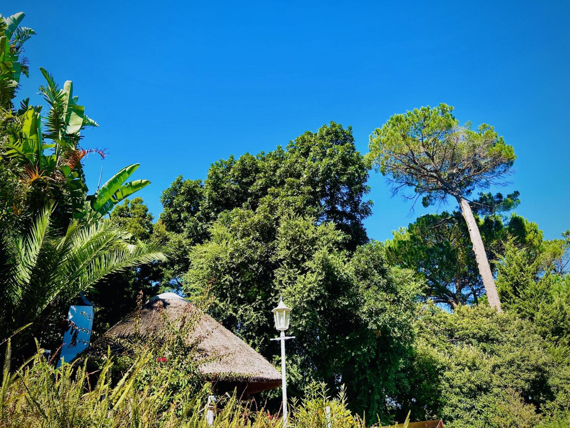 Villa Helderberg Somerset West Dış mekan fotoğraf